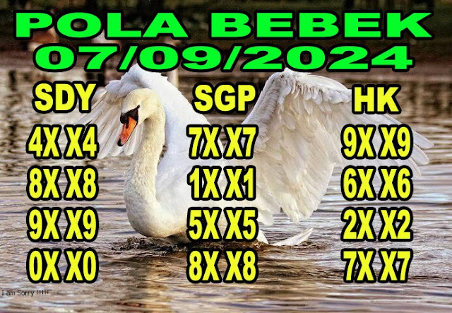 SYAIR SDY VIP